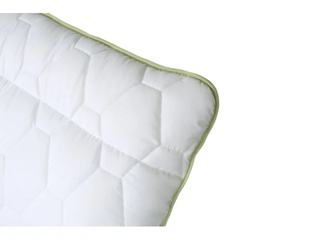 Comco ergonominė pagalvė Aloe Vera, 50x70 2
