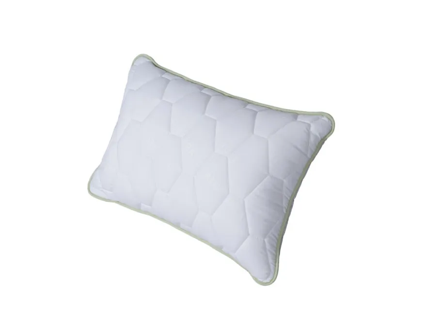 Comco pagalvė Aloe Vera Memory, 50x70