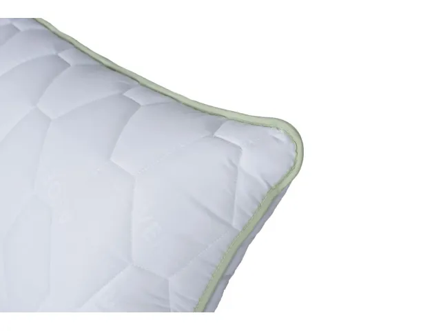 Comco pagalvė Aloe Vera Memory, 50x70 2