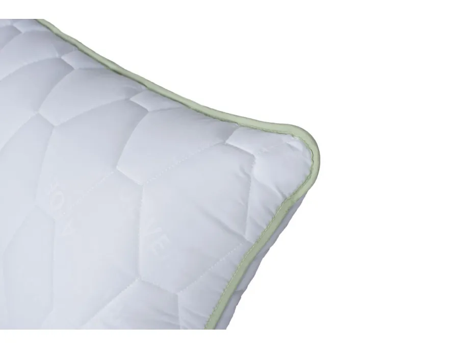 Comco pagalvė Aloe Vera Memory, 50x70