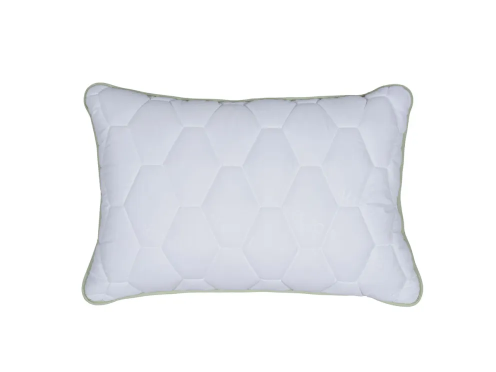 Comco pagalvė Aloe Vera Memory, 50x70