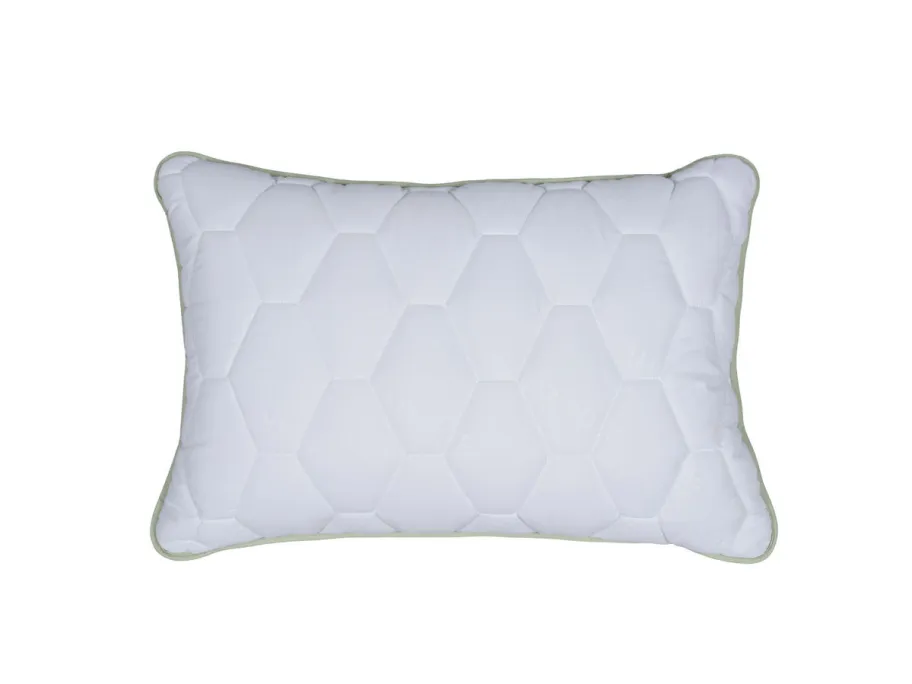 Comco pagalvė Aloe Vera Memory, 50x70