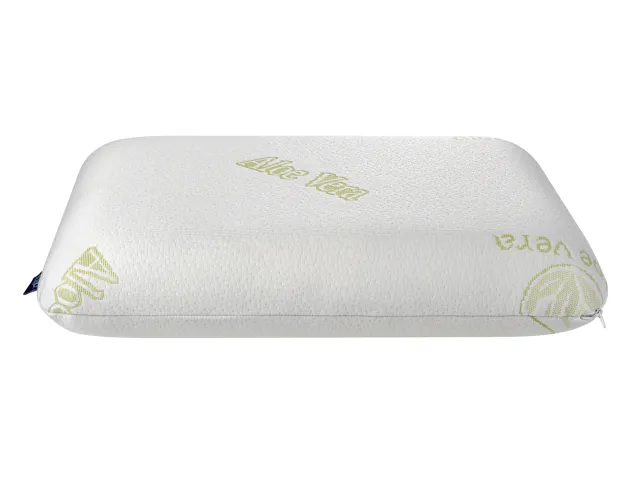 Aloe vera pagalvė, 60x40x12 cm 2