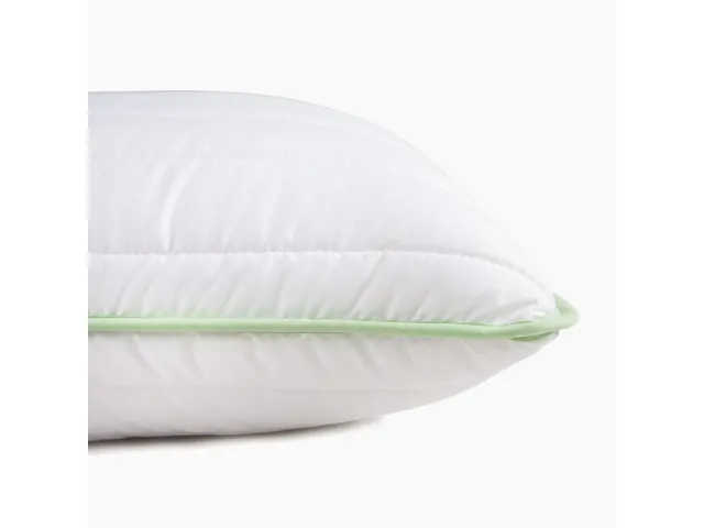 Comco pagalvė Aloe Vera, 60x60 2